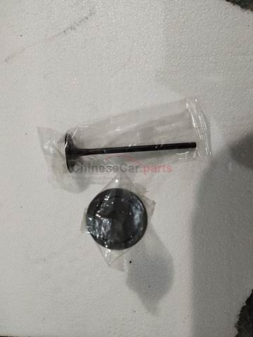 Valve exhaust 1007012-A02/A01 for Changan
