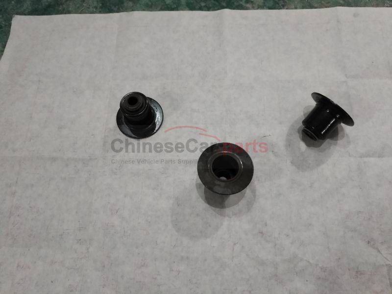 valve oil seal 1007040-A02 for Changan