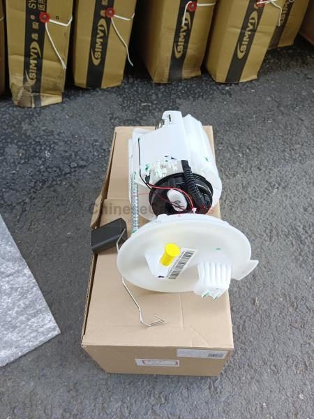 FUEL PUMP ASSY C212F260101-0100-AA for Changan