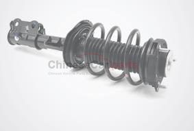STRUT ASS'Y(LH) S401034-2900 for Changan