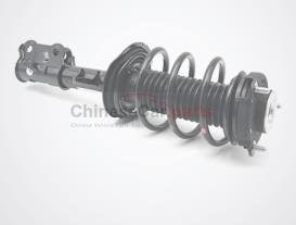 STRUT ASS'Y(LH) S401034-2901 for Changan