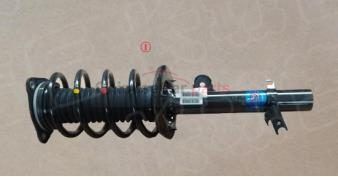 FL SHOCK ABSORBER AND COIL SPRING ASSEMBLY 2905104XGW01A for Haval