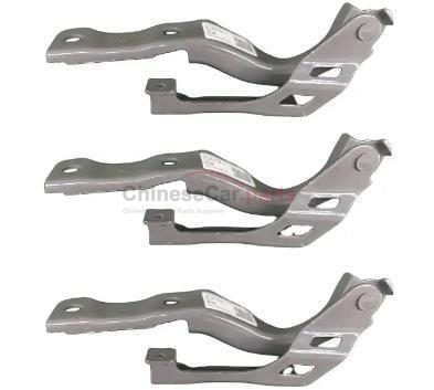 HINGE 10457978 for MG