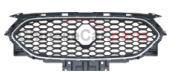 GRILLE LW-MG3-3A-008 for MG