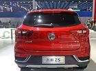 TAIL LAMP OUTSIDE 10293791/10293792 for MG