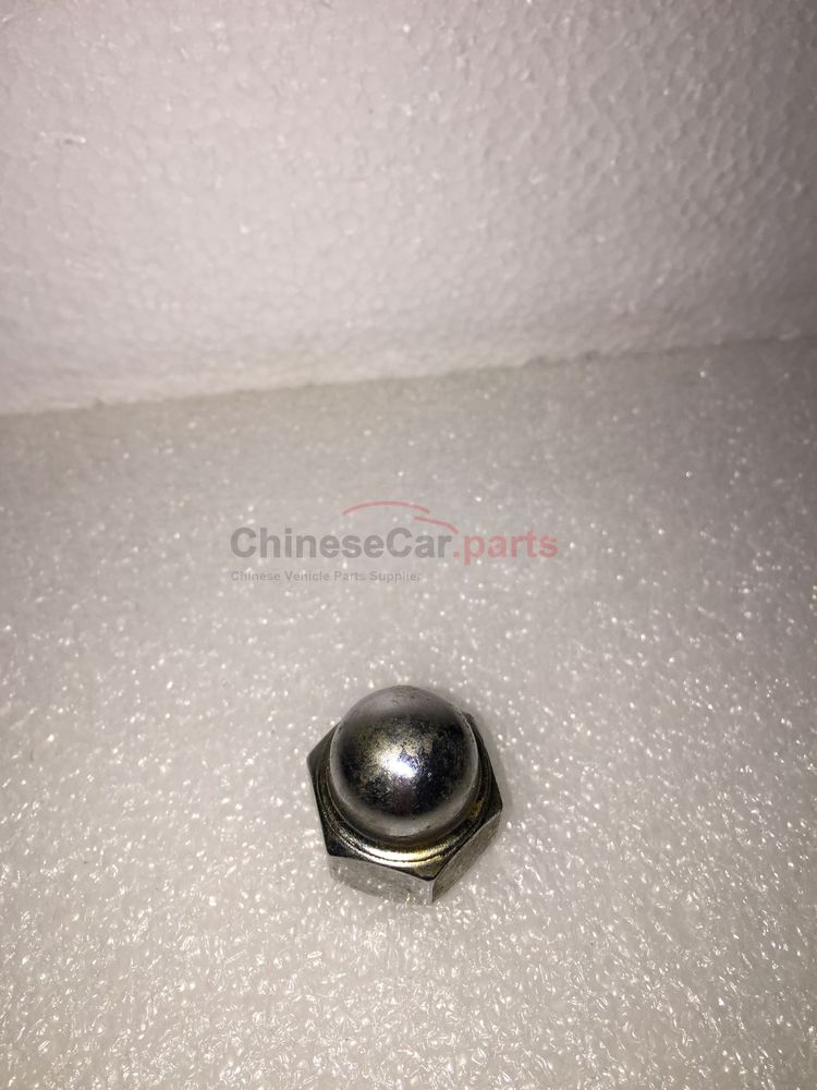 Nut - Tire 3101021-U01 for Changan